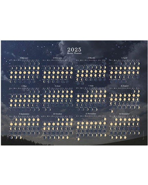 달관찰 포스터 (2025) (가로형)