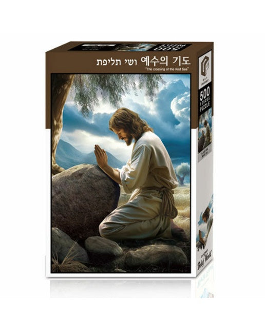 토이앤퍼즐 기독교 직소퍼즐 500 : 예수의 기도 (T-DF05-1041)