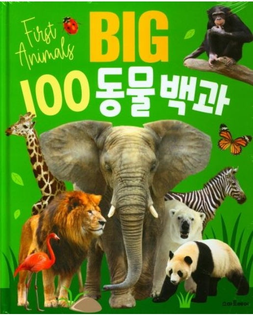 BIG 100 동물백과