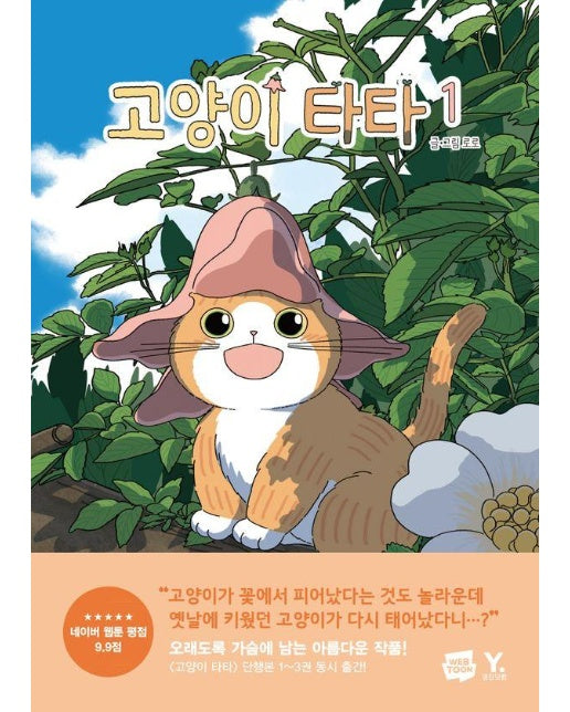 고양이 타타 1