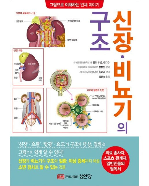 신장·비뇨기의 구조 (그림으로 이해하는 인체 이야기)