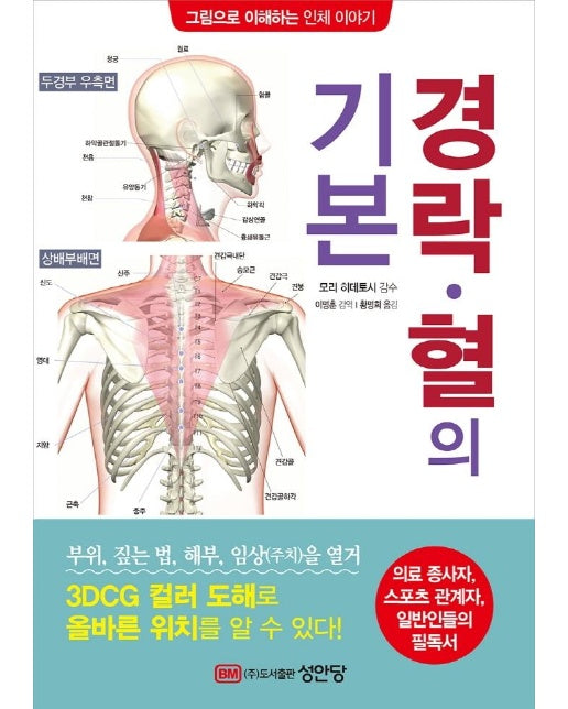 경락？혈의 기본 : 그림으로 이해하는 인체 이야기