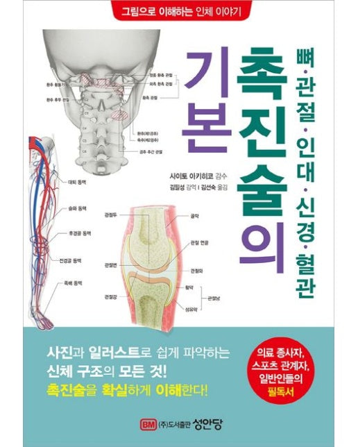 뼈 관절 인대 신경 혈관 촉진술의 기본 (그림으로 이해하는 인체 이야기)