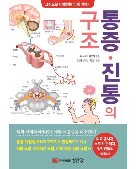 통증 진통의 구조 (그림으로 이해하는 인체 이야기)