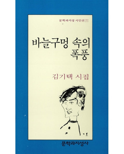 바늘구멍 속의 폭풍 - 문학과지성 시인선 151