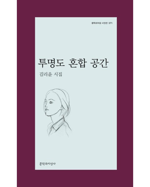 투명도 혼합 공간 - 문학과지성 시인선 571