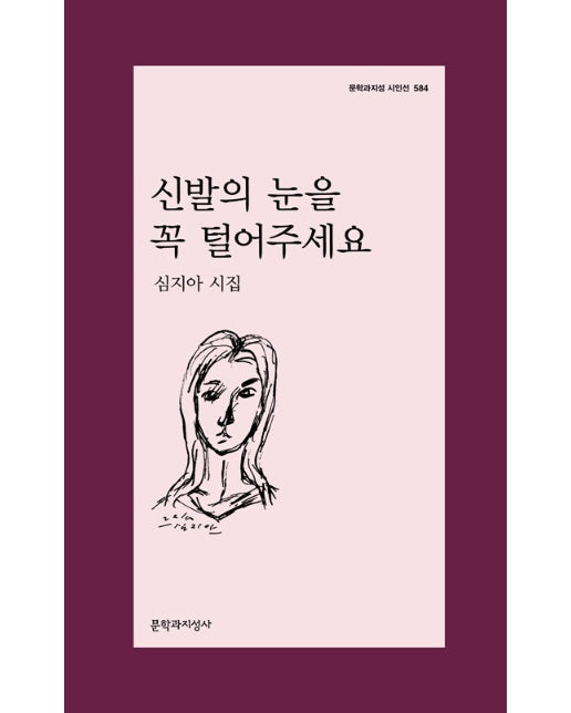 신발의 눈을 꼭 털어주세요 - 문학과지성 시인선 584