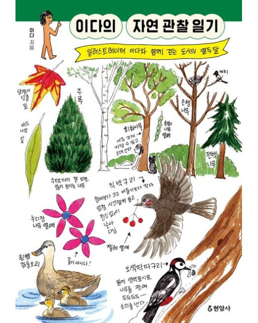 이다의 자연 관찰 일기(큰글자도서) (일러스트레이터 이다와 함께 걷는 도시의 열두 달)