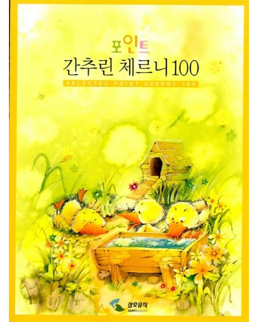 포인트 간추린 체르니 100