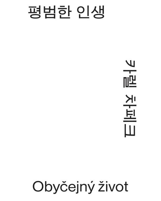 평범한 인생 (반양장)