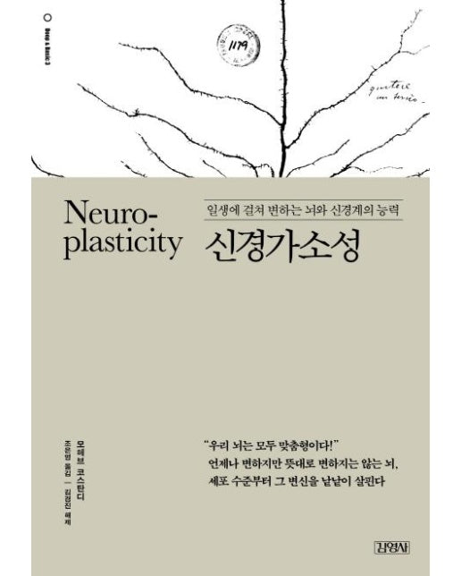 신경가소성 (일생에 걸쳐 변하는 뇌와 신경계의 능력)