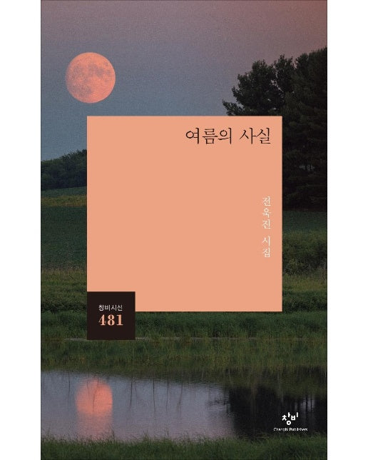 여름의 사실 - 창비시선 481