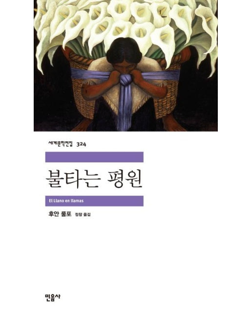 불타는 평원 - 민음사 세계문학전집 324