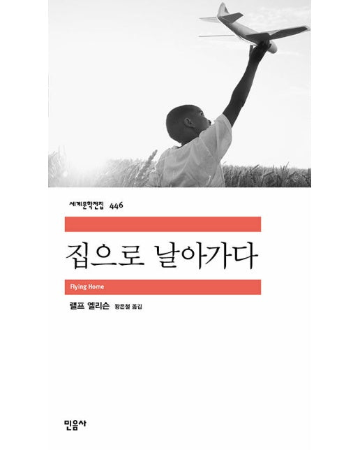 집으로 날아가다 - 세계문학전집 446