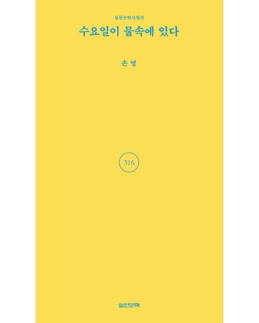 수요일이 물속에 있다 - 실천문학시집선 316