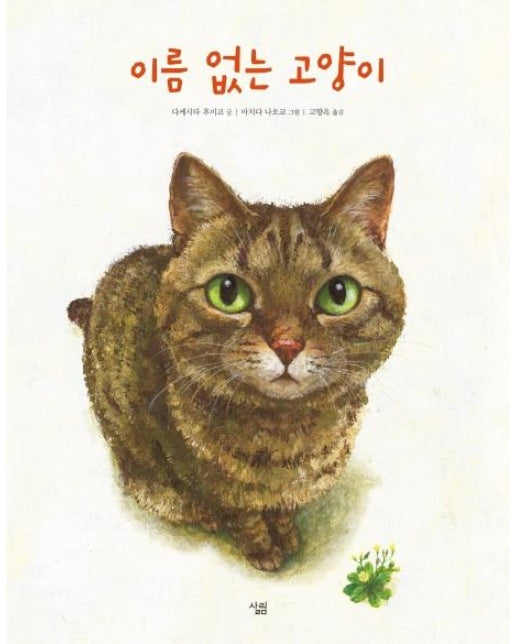 이름 없는 고양이 (양장)