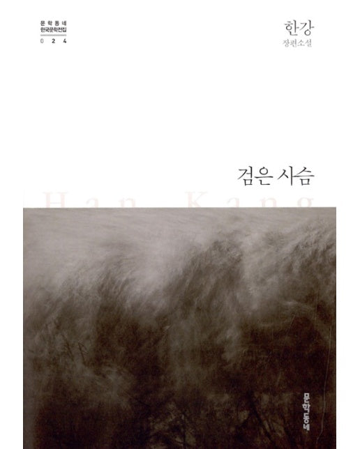 검은 사슴 - 문학동네 한국문학전집 24 (양장)