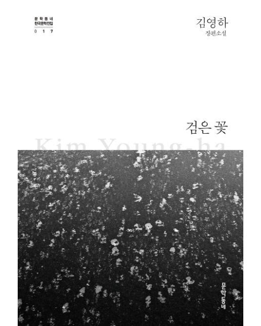 검은 꽃 - 문학동네 한국문학전집 17 (양장)