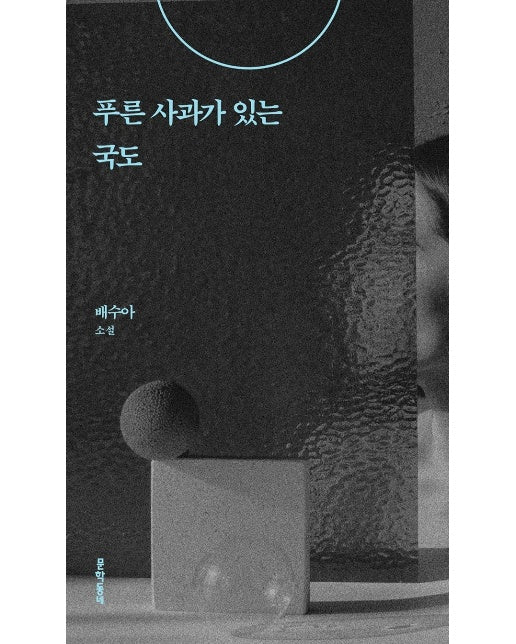 푸른 사과가 있는 국도 - 배수아 컬렉션 (양장)