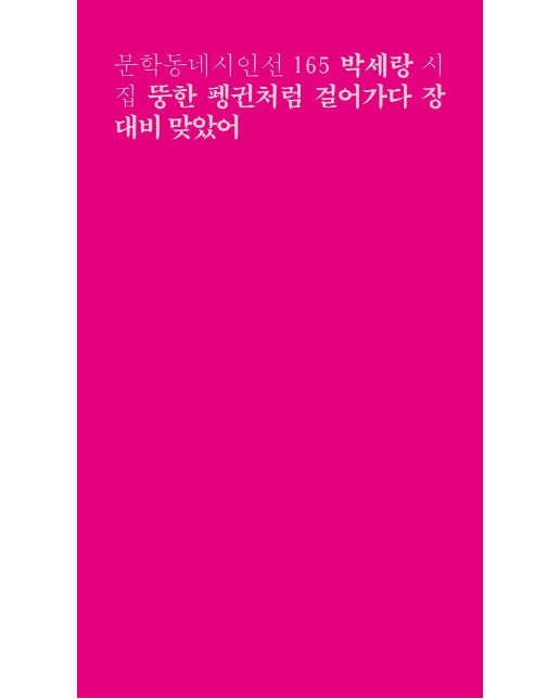 뚱한 펭귄처럼 걸어가다 장대비 맞았어 - 문학동네시인선 165