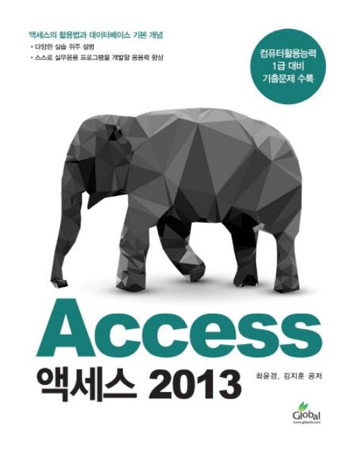 액세스(Access) 2013 (컴퓨터활용능력 1급 대비 기출문제 수록)