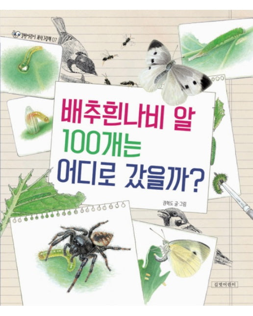 배추흰나비 알 100개는 어디로 갔을까?