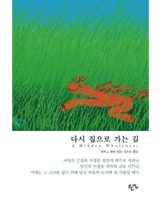 다시 집으로 가는 길