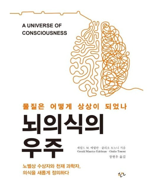 뇌의식의 우주 : 물질은 어떻게 상상이 되었나