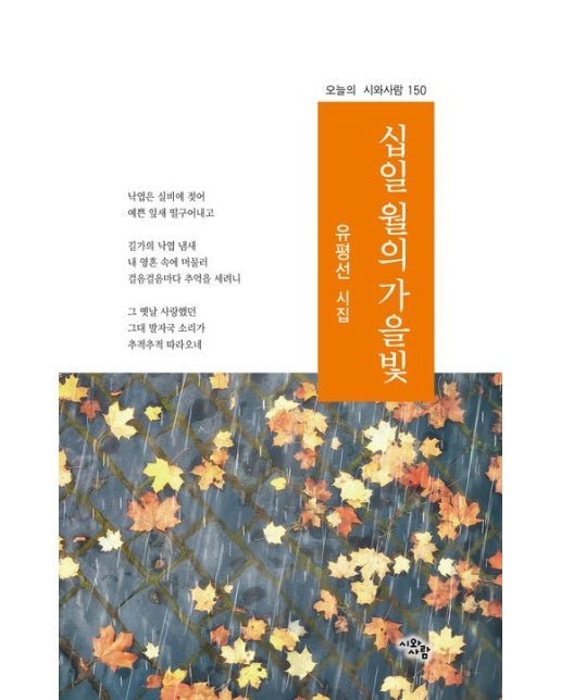 십일 월의 가을빛 (유평선 시집)