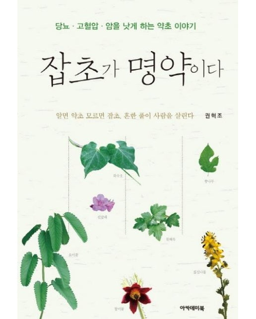 잡초가 명약이다 - 당뇨.고혈압.암을 낫게 하는 약초 이야기