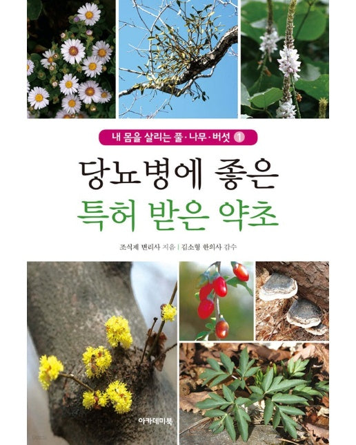 당뇨병에 좋은 특허 받은 우리 약초 - 내 몸을 살리는 풀, 나무, 버섯 1