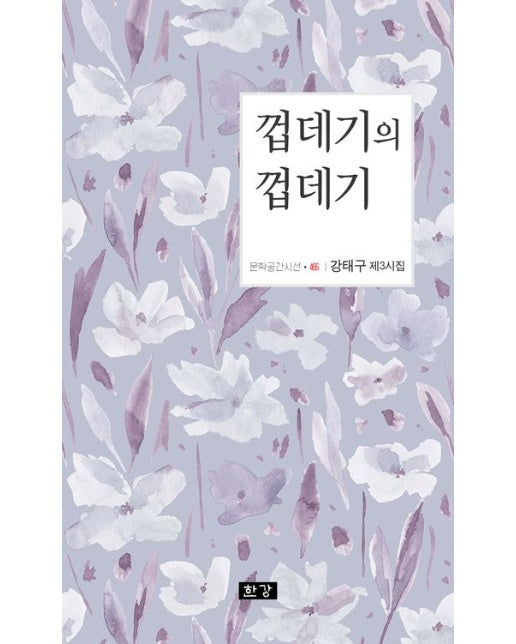 껍데기의 껍데기 (강태구 제3시집)