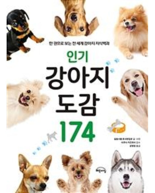 인기 강아지 도감 174