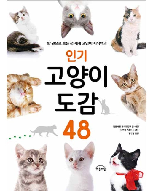 인기 고양이 도감 48