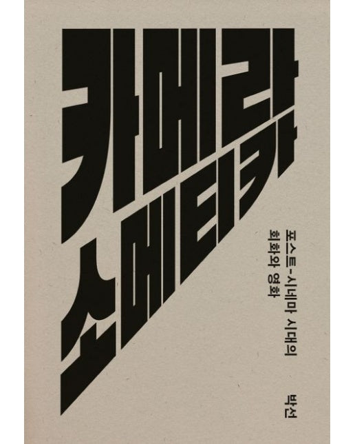 카메라 소메티카 (포스트-시네마 시대의 회화와 영화)