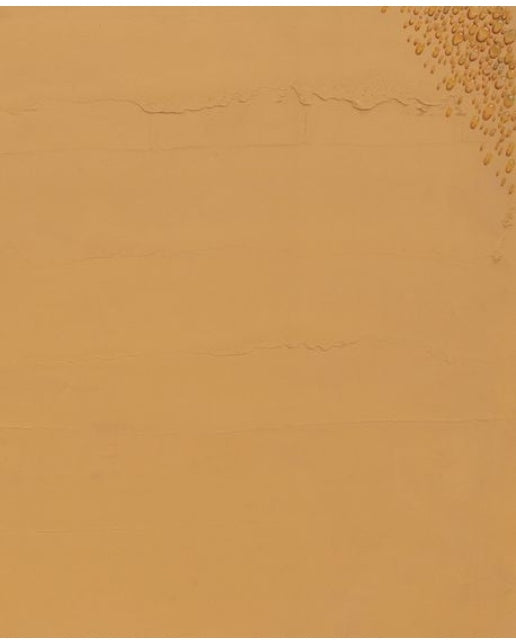 김창열(Kim Tschang-yeul)