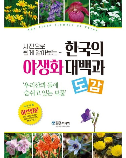 한국의 야생화 대백과 도감 (우리산고 들에 숨쉬고 있는 보물 | 양장본 Hardcover)