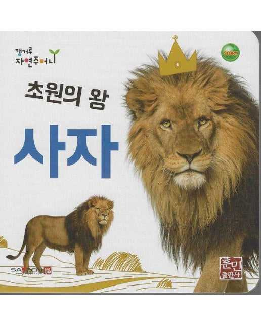 초원의 왕 사자 - 캥거루 자연주머니