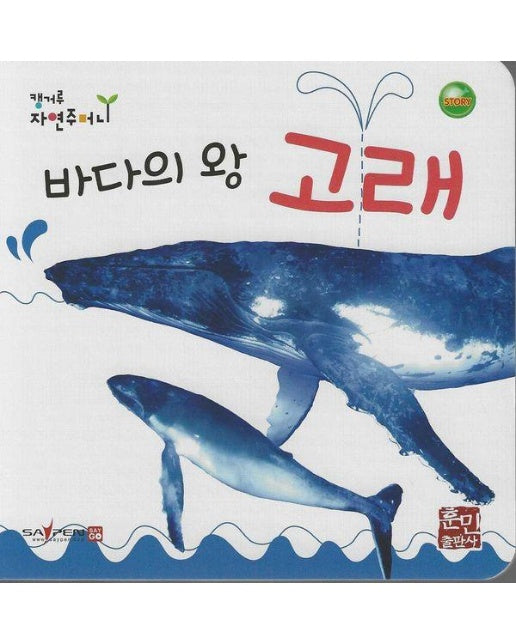 바다의 왕 고래 - 캥거루 자연주머니