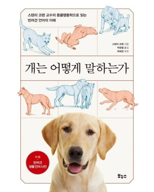 개는 어떻게 말하는가 : 스탠리 코렌 교수의 동물행동학으로 읽는 반려견 언어의 이해 - Pet's Better Life