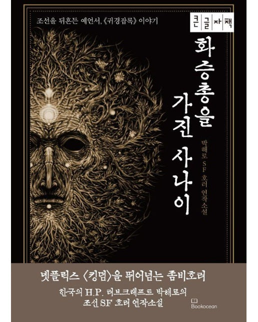 화승총을 가진 사나이 : 조선을 뒤흔든 예언서, 귀경잡록 이야기  (큰글자책)