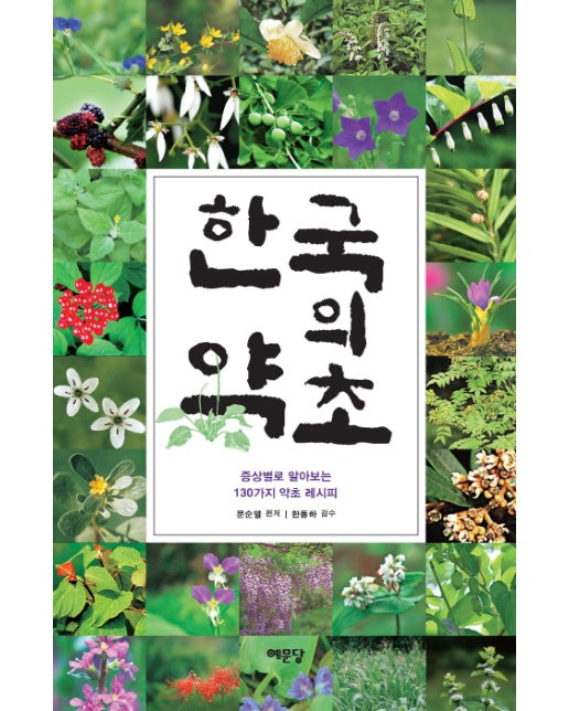 한국의 약초 증상별로 알아보는 130가지 약초 레시피