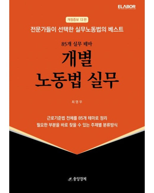 개별 노동법 실무 (개정증보판 13 판)