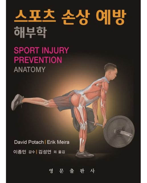 스포츠손상예방 해부학