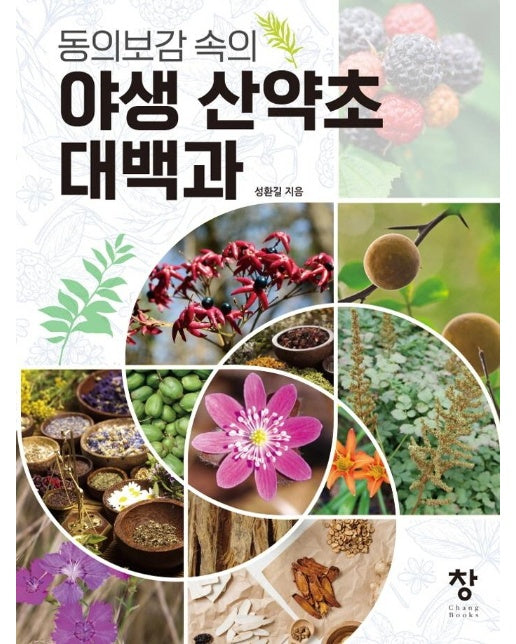 동의보감 속의 야생 산약초 대백과  (양장) 