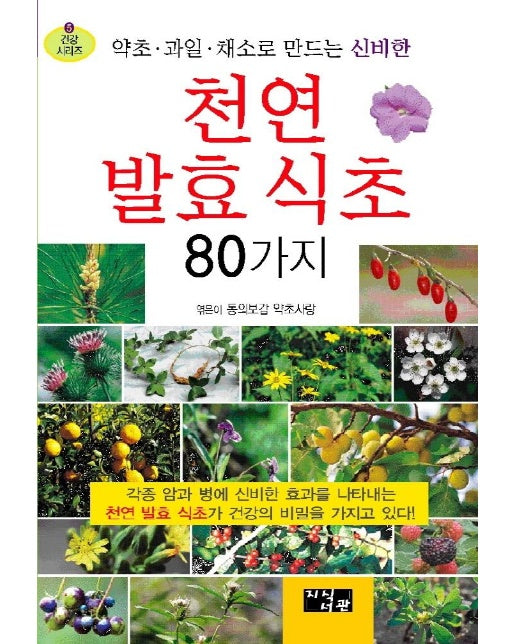 천연발효식초 80가지 : 약초, 과일, 채소로 만드는 신비한