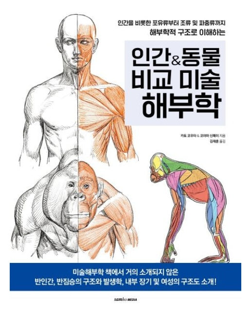 인간&동물 비교 미술해부학