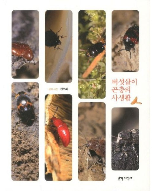 버섯살이 곤충의 사생활 (양장본 Hardcover)