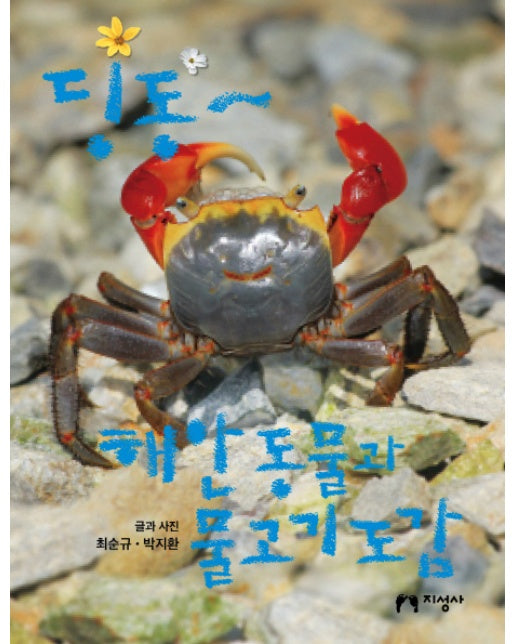 딩동~ 해안 동물과 물고기 도감