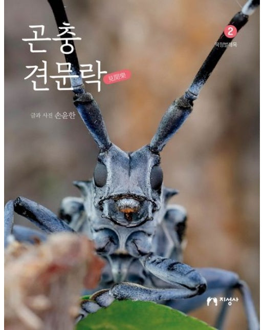 곤충 견문락 2 (딱정벌레목)